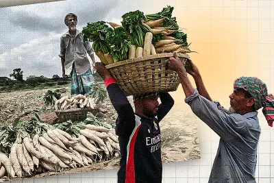 বাংলাদেশের নতুন শিক্ষানীতি: উচ্চশিক্ষায় বড় পরিবর্তন আসছে