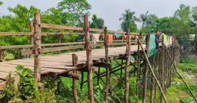 টাঙ্গাইলের বাসাইলে লাঙ্গুলিয়া নদীতে স্থায়ী সেতুর অপেক্ষায় ১৫ গ্রামের মানুষ