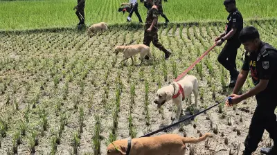 ফুল থেকে মধু আহরণ, যানজট ও ধান কাটা: একঝলক বাংলাদেশের নানা চিত্র