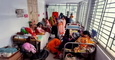 চার সন্তান হামে আক্রান্ত, একই পরিবারে দুঃসহ যন্ত্রণা