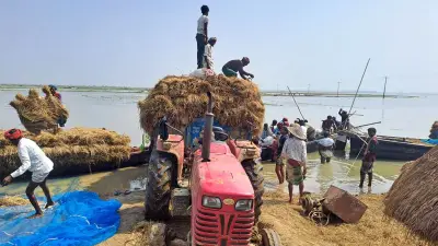 ধান চাষে খরচ না উঠায় দুশ্চিন্তায় কৃষক, আগুনে পুড়ল ১৭ দোকান
