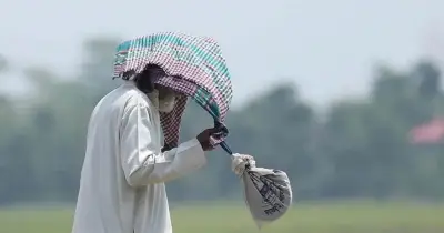 ১৩ জেলায় তাপপ্রবাহ, বৃষ্টির পূর্বাভাস