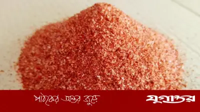 রাশিয়া থেকে ৩৫ হাজার টন এমওপি সারের অনুমোদন