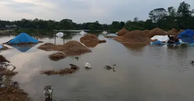 হবিগঞ্জে বন্যা পরিস্থিতির অবনতি, বোরো ধানের ব্যাপক ক্ষতি