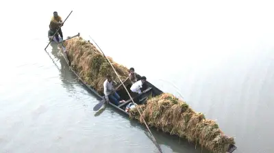 কিশোরগঞ্জে বন্যায় ৭ হাজার হেক্টর বোরো ধান তলিয়ে গেছে