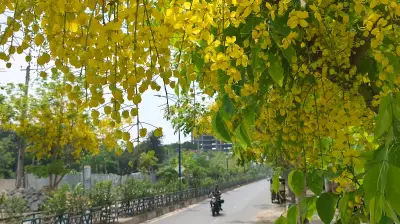 দেশজুড়ে নানা দৃশ্য: কালো মেঘ থেকে বৃষ্টি-ভোগান্তি
