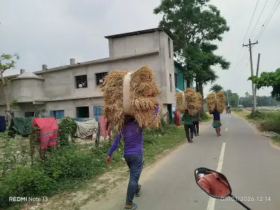 প্রকৃতির ক্যানভাসে জীবনের গল্প: দশ ছবিতে বাংলাদেশ