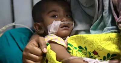 দেশে হামের ভয়াবহ প্রাদুর্ভাব: ৩২ হাজার আক্রান্ত, ২৫০ জনের বেশি মৃত্যু