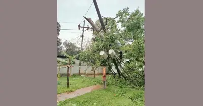 মীরসরাইয়ে কালবৈশাখী ঝড়ে বিদ্যুৎহীন ২০ হাজার পরিবার