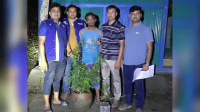 বাড়ির আঙিনায় গাঁজা চাষ, গ্রেপ্তার ১; রোনালদোর অবসর ভাঙলেন