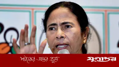 বাঘের বাচ্চার মতো লড়বেন মমতা, বিজেপিকে হুঙ্কার