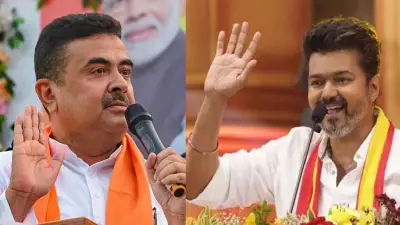 বিধানসভা নির্বাচনে বিজেপির জয়, তামিলনাড়ুতে বহিরাগত বিজয়ের কৌশল