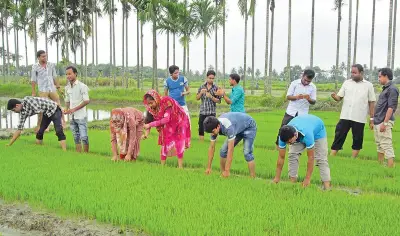 কৃষি গবেষণায় মেধাস্বত্ব ও প্রণোদনা জরুরি