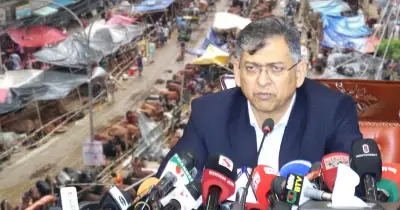 ঈদুল আজহায় সড়কে পশুর হাট বসবে না: স্বরাষ্ট্রমন্ত্রী