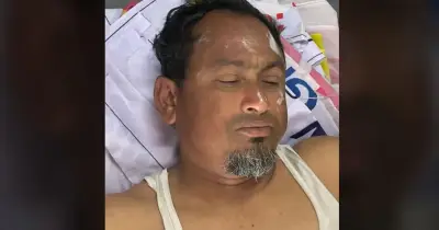 মৌমাছির কামড়ে জামায়াতের তিন নেতাকর্মী আহত