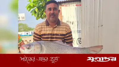 সাড়ে ২১ কেজি পদ্মার কাতল, দাম ৪৩ হাজার টাকা