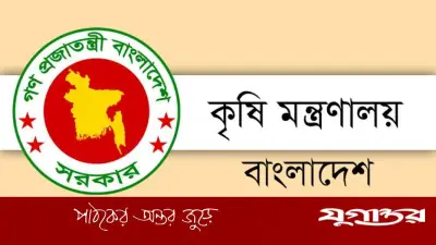 ব্রির মহাপরিচালকের নিয়োগ বাতিল, অতিরিক্ত সচিবকে দায়িত্ব