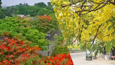 সোনারগাঁওয়ে ট্রাক উল্টে নিহত ২, আহত ১০