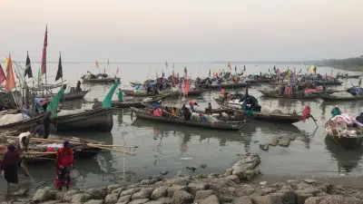 নিষেধাজ্ঞা শেষে মেঘনায় ইলিশ নেই, হতাশ জেলেরা