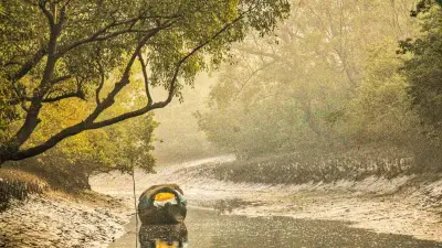 সুন্দরবনে ৪৮ ঘণ্টায় ২২ জেলে অপহরণ, পদ্মা ব্যারাজ নিয়ে দ্রুত সিদ্ধান্ত