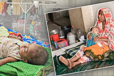 বাংলাদেশের শিক্ষাখাতে নতুন উদ্যোগ: ডিজিটাল লার্নিং প্ল্যাটফর্ম চালু