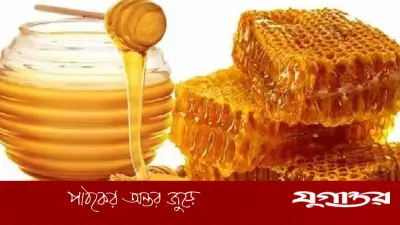 মধু খাওয়ার আগে জানা জরুরি ৫ বিষয় যা স্বাস্থ্য সুরক্ষায় সহায়ক