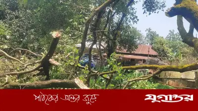কালবৈশাখীর তাণ্ডবে লন্ডভন্ড শ্রীপুরের তিন গ্রাম