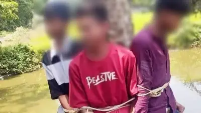 বগুড়ায় বাজি ধরে কলা চুরি, তিন বন্ধুকে গাছে বেঁধে রাখল স্থানীয়রা