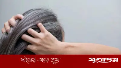 অকালে চুল পাকা রোধে ৪টি কার্যকরী খাবার