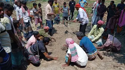 বাংলাদেশের নতুন শিক্ষানীতি অনুমোদন: বড় পরিবর্তন আসছে শিক্ষাখাতে