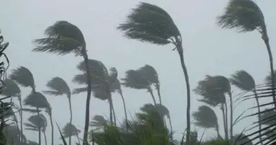 রাতের মধ্যে সাত অঞ্চলে ঝোড়ো হাওয়া, ১ নম্বর সতর্ক সংকেত