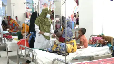 হামে আক্রান্ত শিশু মৃত্যুর কারণ নিয়ে বিশেষজ্ঞরা যা বলছেন