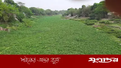 ২৫১ কোটি টাকা খরচ করেও নাব্য ফেরেনি কুমার নদ, দূষণে ভরপুর