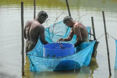 দেশজুড়ে নানা দৃশ্য: ঘুঘু থেকে লাউ, মরিচ থেকে মাছ