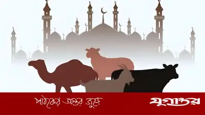 কুরবানির পশু বাছাইয়ে ইসলামের নির্দেশনা
