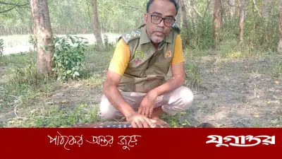 শিকারিদের কবল থেকে ২ হরিণ উদ্ধার, সুন্দরবনে অবমুক্ত