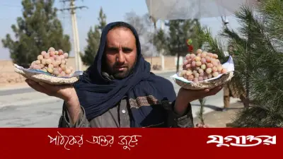 ফ্রিজ ছাড়াই ৬ মাস সতেজ থাকে আফগানদের এই পদ্ধতিতে আঙুর