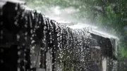 সন্ধ্যার মধ্যে ৯ জেলায় ঝড়-বৃষ্টির আশঙ্কা