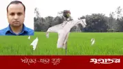 বাংলার কৃষি সংস্কৃতির অনন্য ঐতিহ্য কাকতাড়ুয়া