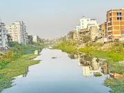 নদীর পাড়ে জমি কিনে যে কেউ স্থাপনা গড়তে পারে: নদী রক্ষায় নতুন চিন্তা