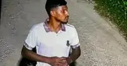জাবিতে শিক্ষার্থীকে ধর্ষণচেষ্টা, অভিযুক্ত পলাতক