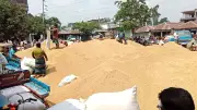 বাজেটে স্বাস্থ্যখাতে জিডিপির ১% বরাদ্দ, নানা সংকটে কৃষক