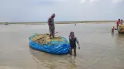 পানিতে ডুবে থাকা ধান কাটতে পলিথিনের নৌকা বানিয়ে কৃষকেরা