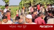 ফরিদপুরে কলাবাগানে পুঁতে রাখা নারী ও শিশুর লাশ উদ্ধার