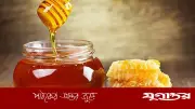 মধু আসল নাকি ভেজাল? চেনার পাঁচটি সহজ উপায়