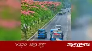 বদলে গেছে ঢাকা-ময়মনসিংহ মহাসড়ক, বাহারি ফুলে মুগ্ধতা