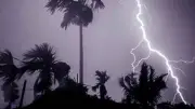 জামালপুরে বজ্রপাতে দুইজনের মৃত্যু, ভাইয়ের ছুরিকাঘাতে আরেক ভাই নিহত