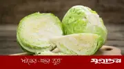 অতিরিক্ত বাঁধাকপি খেলে থাইরয়েডের সমস্যা হতে পারে, সতর্কতা বিশেষজ্ঞদের