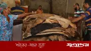 কুরবানির চামড়া সংগ্রহ বর্জন: বিলিয়ন ডলারের শিল্পে সংকটের আশঙ্কা