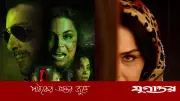 হলিউড-বলিউডকে টক্কর দেবে ‘সাইকো’, দাবি মীরার